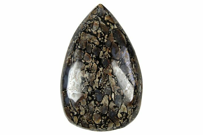 Polished Dinosaur Bone (Gembone) Cabochon - Colorado #370710